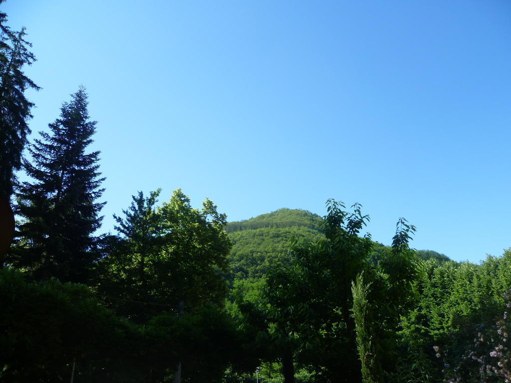 Villa Lucchesi Bagni di Lucca Εξωτερικό φωτογραφία